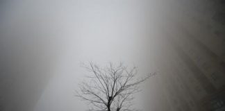 رياح تقشع التلوث وتعيد الزرقة إلى سماء بكين