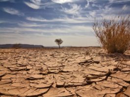 علماء يتوقعون اتساع رقعة الأراضي الجافة بنسبة 10% عام 2100