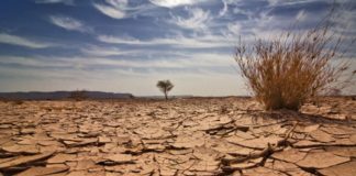 علماء يتوقعون اتساع رقعة الأراضي الجافة بنسبة 10% عام 2100