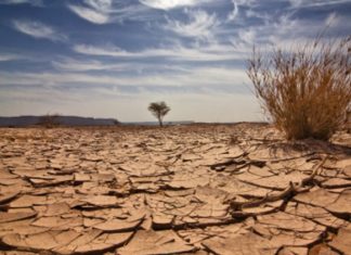 علماء يتوقعون اتساع رقعة الأراضي الجافة بنسبة 10% عام 2100