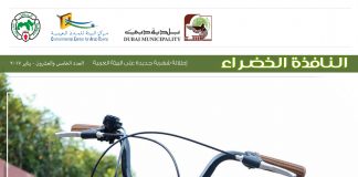 العدد الخامس والعشرون من نشرة “النافذة الخضراء”