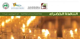 العدد السابع والعشرون من نشرة “النافذة الخضراء”