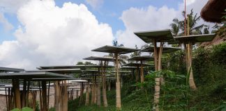 إطلاق «الخطة الوطنية للنمو الأخضر» في الأردن