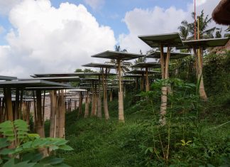 إطلاق «الخطة الوطنية للنمو الأخضر» في الأردن