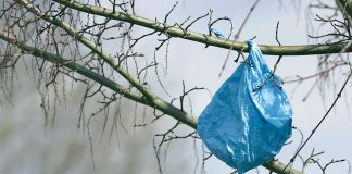 البلاستيك: مشكلة وأربعة حلول