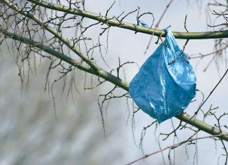 البلاستيك: مشكلة وأربعة حلول