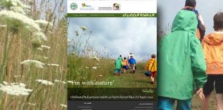 العدد الثلاثون من نشرة “النافذة الخضراء”