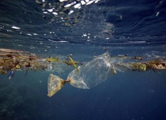 أزمة البلاستيك تطارد العالم.. 12 مليار طن تهدد البيئة والبشرية