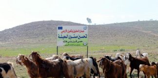 الأردن تحصد جائزة سياسة المستقبل البرونزية للعام الجاري