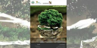 العدد الثالث والثلاثون من نشرة “النافذة الخضراء”