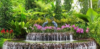 الحدائق الوطنية في سنغافورة تفوز بجائزة اليونسكو – السلطان قابوس