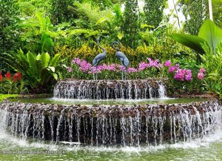 الحدائق الوطنية في سنغافورة تفوز بجائزة اليونسكو – السلطان قابوس