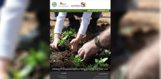 العدد الرابع والثلاثون من نشرة “النافذة الخضراء”