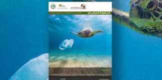 العدد الثاني والأربعون من نشرة “النافذة الخضراء”