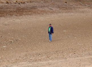 توقعات بتفاقم الجفاف بالساحل الشرقي لاستراليا توقعات بتفاقم الجفاف بالساحل الشرقي لاستراليا