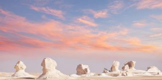 الصحراء البيضاء المصرية تدخل قائمة الحدائق الجيولوجية