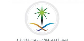 السعودية تتجه لإطلاق «شرطة بيئية»