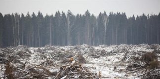 وزارة البيئة الروسية تضع سيناريو «يوم القيامة البيئي» بسبب الاحتباس الحراري