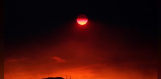 مسح: الإخفاق في التصدي لتغير المناخ هو أكبر المخاطر