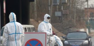 الصين تعدم أكثر من 900 ألف خنزير بسبب حمى الخنازير الأفريقية