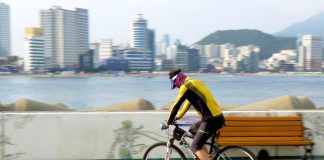 نحو مدن صحية.. صديقة للبيئة