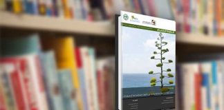 العدد الثامن والأربعون من نشرة “النافذة الخضراء”