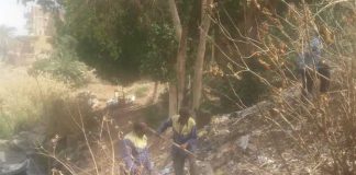 بيئة مصر تبدأ حملة تطهير وتجميل ضفاف النيل من أسوان إلى القاهرة