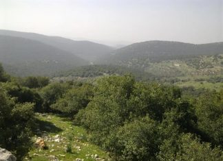 جمعية التنمية للإنسان والبيئة الأردنية تنظم مسيراً بيئياً في غابة برقش