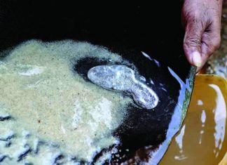 الأمم المتحدة للبيئة تصدر تقريرها السنوي لعام 2018