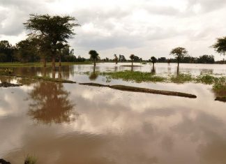 نشطاء يُوضِّحون أنّ الطبيعة يُمكنها معالجة أزمات المُناخ