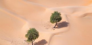 أبوظبي تطلق مبادرة «التسامح مع الطبيعة»