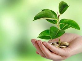 40 قاعدة لحياة خضراء صديقة للبيئة