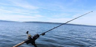 التطبيقات الذكية في صيد الأسماك وإدارة المزارع السمكية