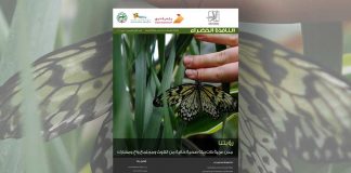 العدد الثاني والخمسون من نشرة “النافذة الخضراء”