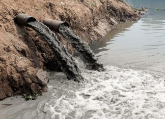 سُمية المعادن الثقيلة وتأثيرها على الكائنات الحية