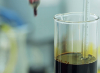 طالبتان من جامعة الشارقة تحولان بذور الحنظل إلى وقود حيوي وقود حيوي