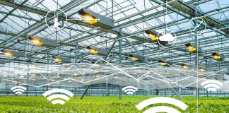 الزراعة الذكيّة.. تقنيات المستقبل لتحقيق الأمن الغذائي