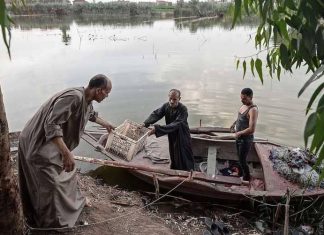 ناقوس الخطر يُهدد الحياة في مصرف البحر الفرعوني