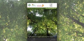 العدد الرابع والخمسون من نشرة “النافذة الخضراء”