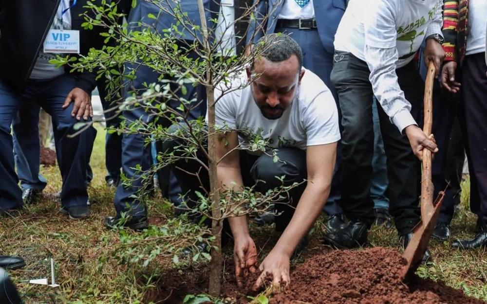إثيوبيا تزرع 224 مليون شجرة في يوم واحد نشاطات أهلية وتطوعية أخبار البيئة
