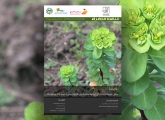 العدد الخامس والخمسون من نشرة “النافذة الخضراء”