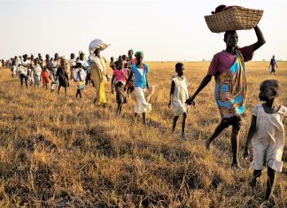 تقرير أممي: السودان يجابه تحديات بيئية كبيرة