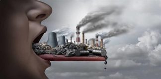 التلوث سبب رئيسي لـ 10 في المئة من الوفيات في الكويت تلوث البيئة