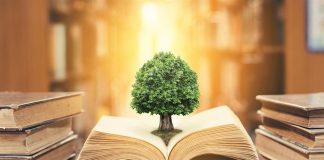 مناهج صديقة للبيئة في مصر التعليم البيئي