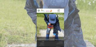 العدد الستون من نشرة “النافذة الخضراء”