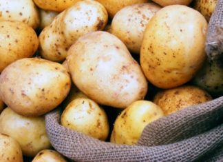 وقود التدفئة وراشحات الملوثات… من قشور البطاطا بطاطا