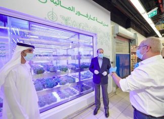 أول مزرعة مائية داخل متجر كارفور في دبي