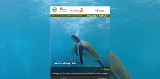 العدد الخامس والستون من نشرة “النافذة الخضراء”