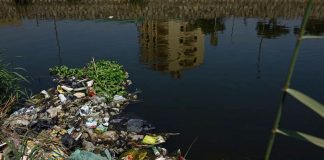 دراسة: ثلاثة أرباع أسماك النيل ملوثة بالبلاستيك تلوث النيل