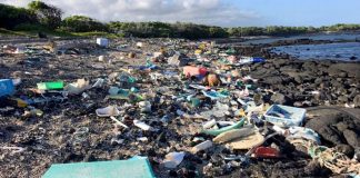 الحدّ من استخدام البلاستيك في 10 تصرُّفات شخصية